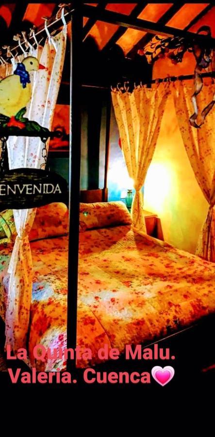 Hotel La Quinta De Malu Valeria Zewnętrze zdjęcie